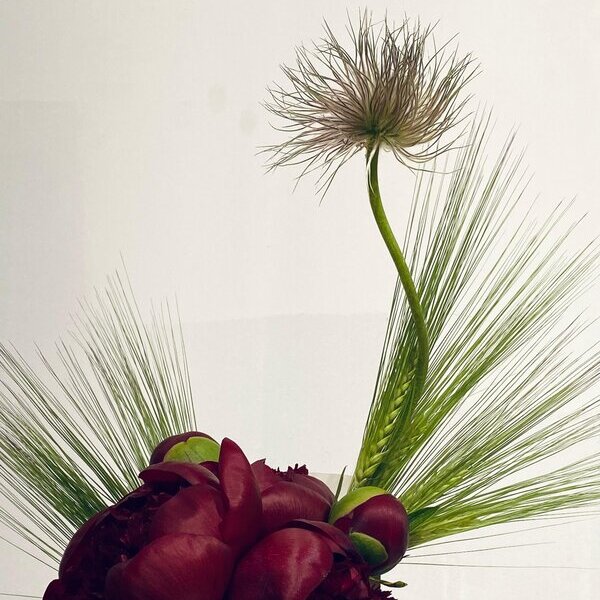 Bouquet sculptural graminées FLWR