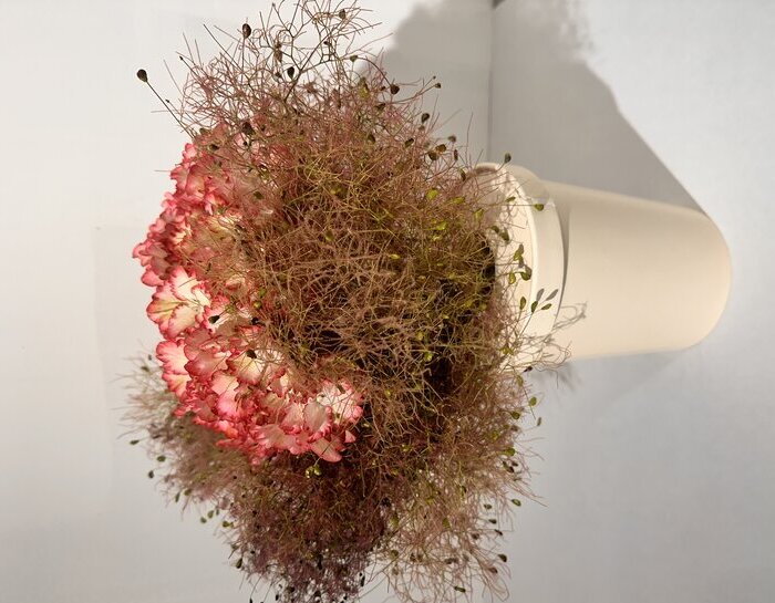 Composition florale pivoines FLWR