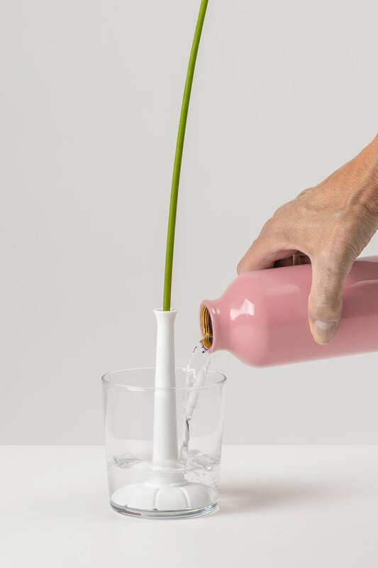Miniflore en usage